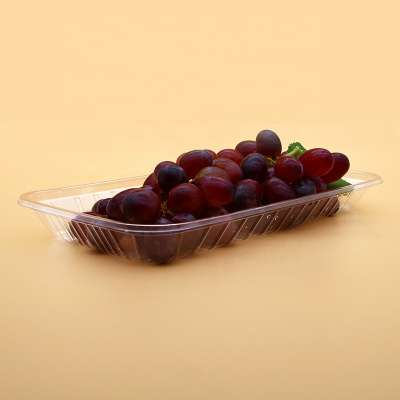 Premium quality disposable salad packaging food containers plastic fruit plastic fruit tray