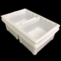 Shengsu Blister Packaging White Color 2 Cell Dried Fruit Plastic Food Tray