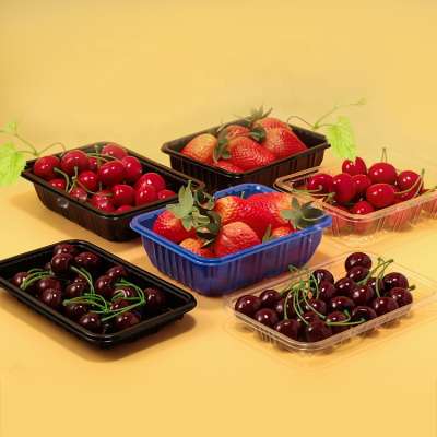 Dry Plastic And Vegetables Packaging Disposable Serving Packing Dried Pet Pulp Fruit Tray